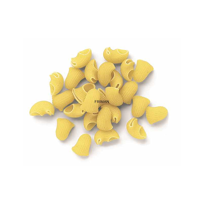 TIBURÓN N2 1/5Kg (50rac.)